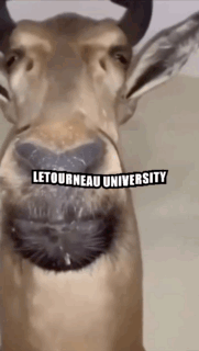 Letourneau University University GIF - Letourneau University Letourneau University GIFs