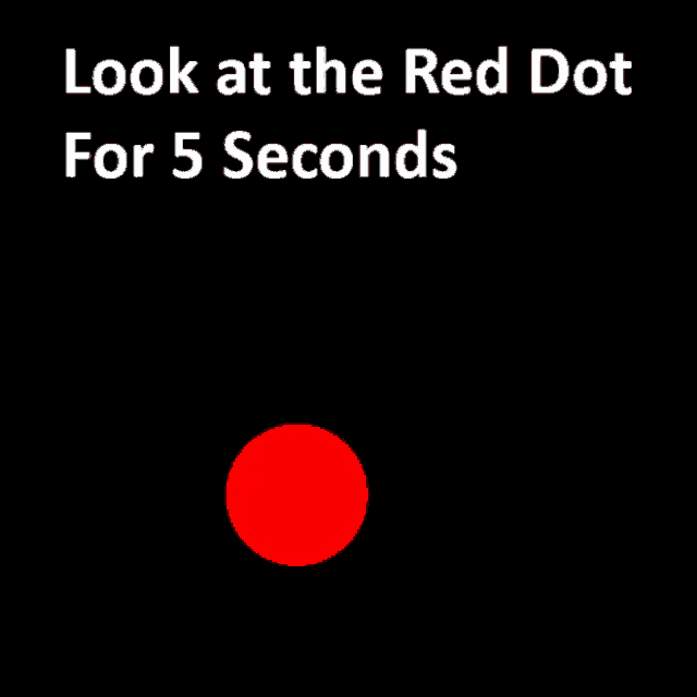 a black background with a red circle and the words look at the red dot for 5 seconds