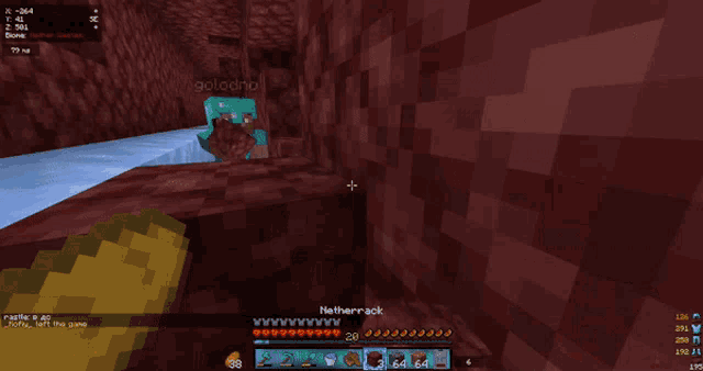 a screenshot of a video game with the name netherrack on the screen