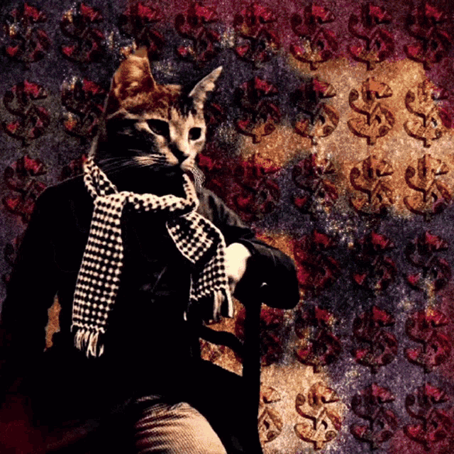a cat with a scarf around its neck is sitting in front of a wall with dollar signs