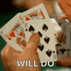 a person is holding a stack of playing cards in their hand and says `` will do '' .