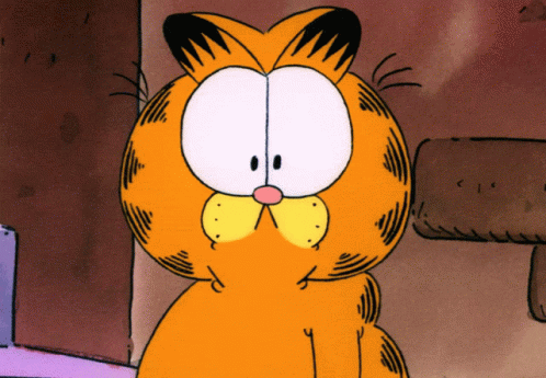Whats That Garfield GIF - Whats That Garfield Huh GIFs