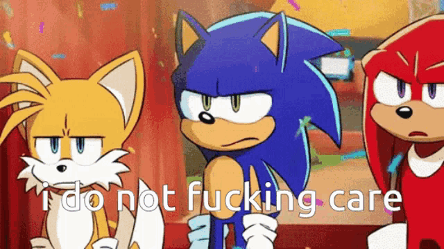 sonic the hedgehog and tails the fox are standing next to each other with the words " i do not fucking care "
