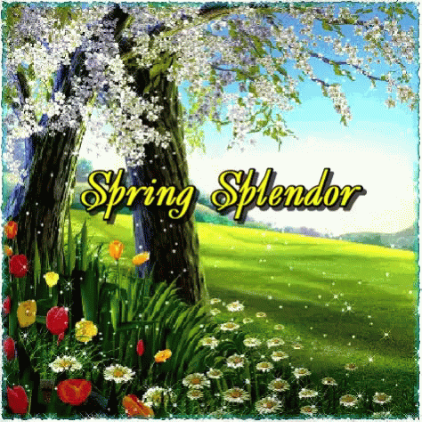 Spring Splendor Spring Flowers GIF - Spring Splendor Spring Flowers Its Spring GIFs