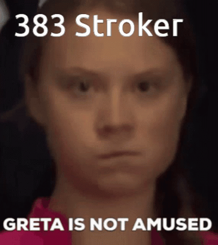 Greta Thunberg Not Amused GIF - Greta Thunberg Not Amused 383stroker GIFs