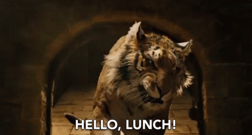 Hello Lunch GIF - Hello Lunch Hungry GIFs
