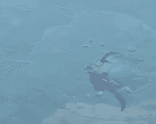 a close up of a blue water surface with a splash