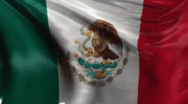 Mexican Mexico GIF - Mexican Mexico Flag GIFs