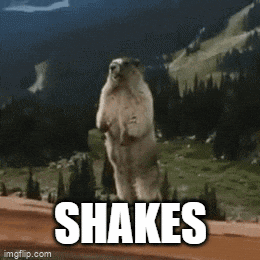 a squirrel is standing on its hind legs with the word shakes written below it