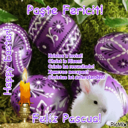 a picture of purple easter eggs and a white rabbit