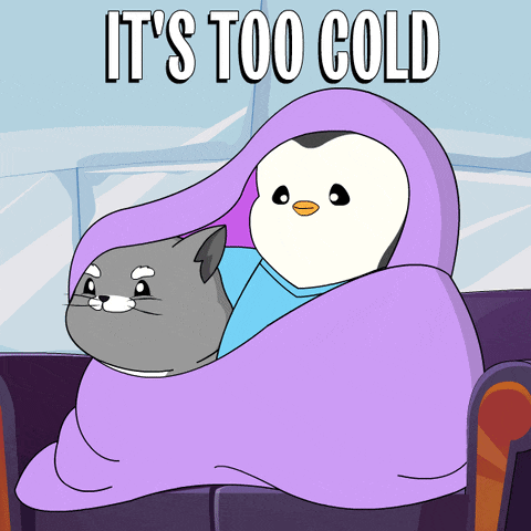 a penguin and a cat wrapped in a purple blanket with the words it 's too cold below them