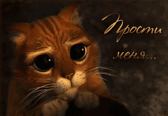 a cat with a sad look on its face is on a card that says " npocmu mena "