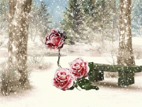 Winter Wonderland GIF - Winter Wonderland Rose GIFs