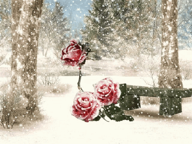two red roses covered in snow sit on a bench