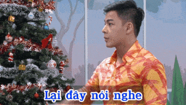 a man in a plaid shirt stands in front of a christmas tree with the words lai day noi nghe above him