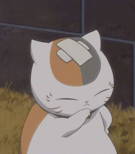 a cat with a bandage on its head looks tired