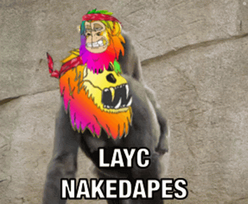 Layc Nakedapes GIF - Layc Nakedapes GIFs