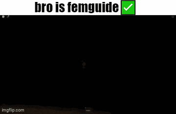 a screenshot of a video game with the words bro is femguide