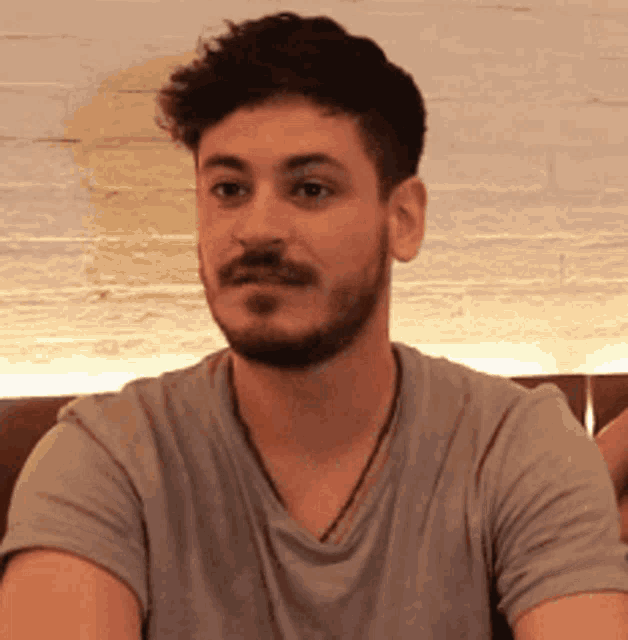 a man with a beard wearing a grey t-shirt