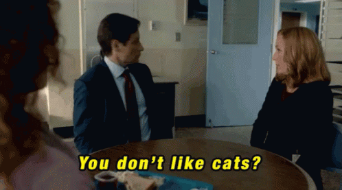 Meeting A Dog Person GIF - The X Files Cats Dog Person GIFs
