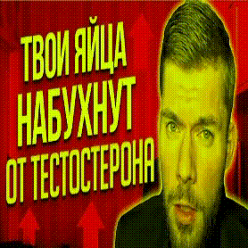 яйца тестостерон GIF