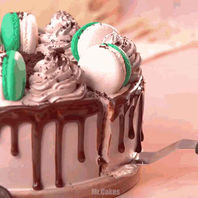 a mr.cakes cake is being sliced by a knife