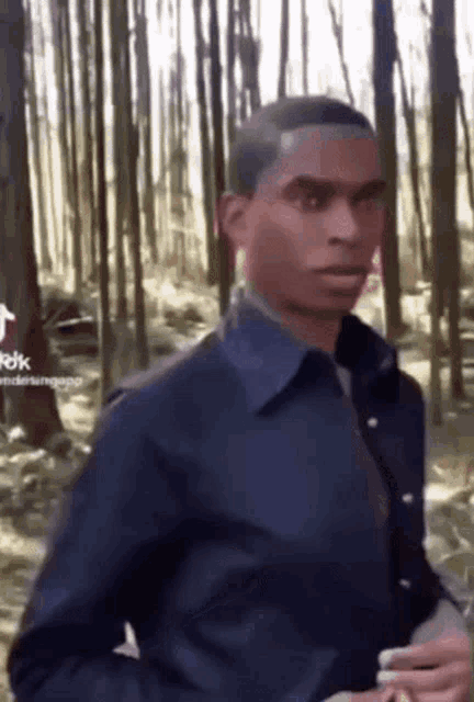 a man in a blue shirt and tie stands in a forest