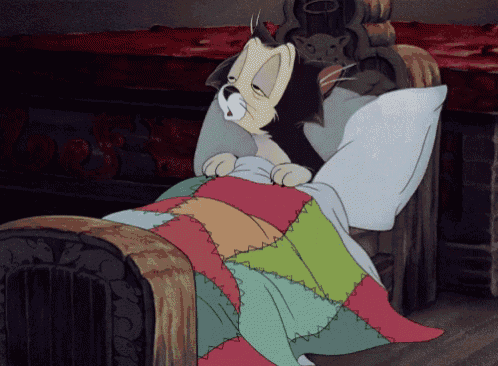 a cartoon cat is sleeping in a bed with a quilt
