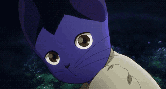 a close up of a blue cat 's face with white eyes