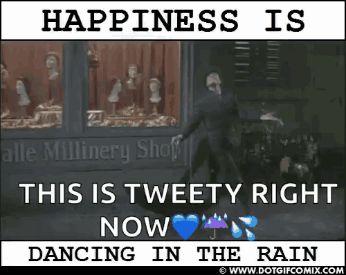 a happiness is tweety right now dancing in the rain meme