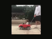 Car Drive GIF - Car Drive Kid GIFs