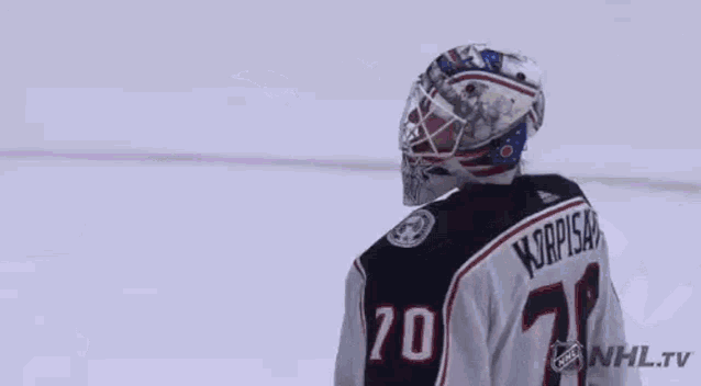 a hockey goalie wearing a helmet and a jersey with the number 20 on it .