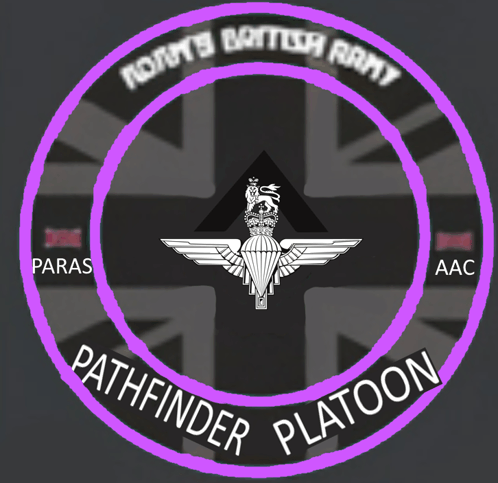 Pathfinder Bird GIF - Pathfinder Bird Pathfinder Platoon GIFs