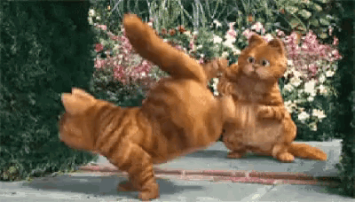 two cats are playing with each other on a sidewalk in front of flowers .