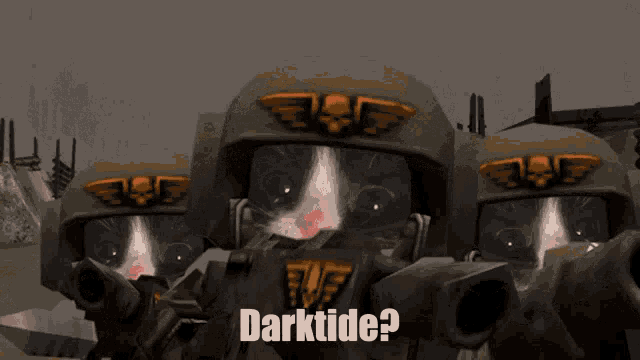 Cat 40k GIF - Cat 40k Warhammer GIFs