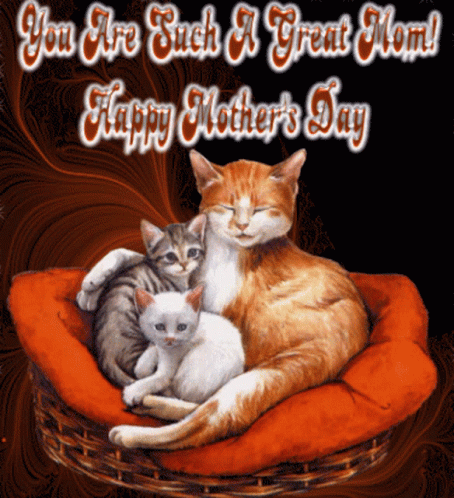 Happy Mothers Day You Are A Great Mom GIF - Happy Mothers Day You Are A Great Mom Cat GIFs