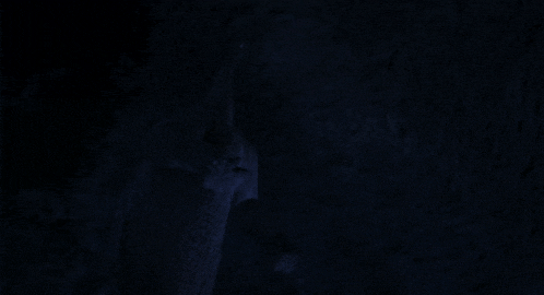 a dark blue background with a few trees in the background