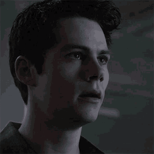 Oh No Stiles Stilinski GIF