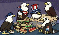 America Lol GIF - Eagle Eagles Murica GIFs