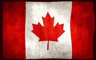 a canadian flag with a red maple leaf in the middle