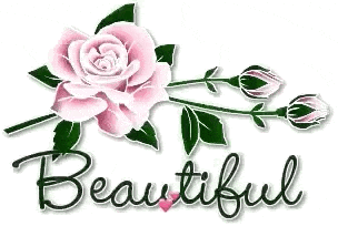 a pink rose with green leaves and the word beautiful