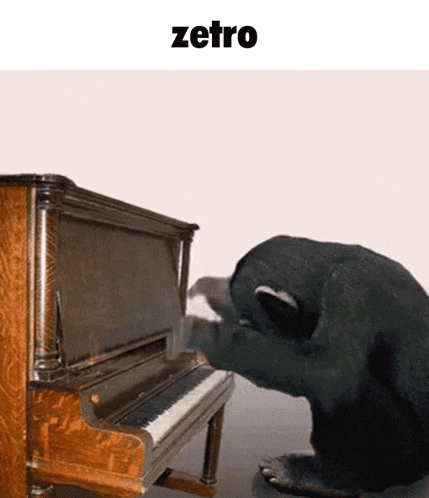 a picture of a bear playing a piano with the word zetro underneath it