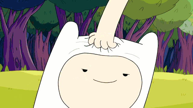 Adventure Time Finn GIF - Adventure Time Finn Luxurious Hair GIFs