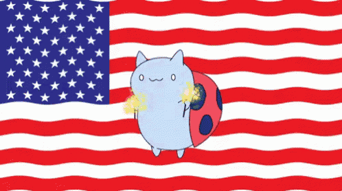 an american flag with a ladybug and a cat in front of it