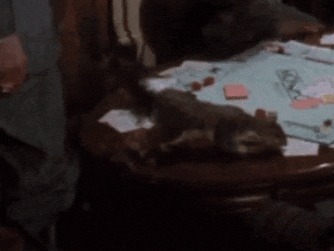a squirrel is sitting on top of a messy table