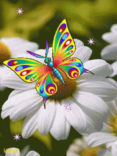 Butterfly Flower GIF - Butterfly Flower Daisy GIFs