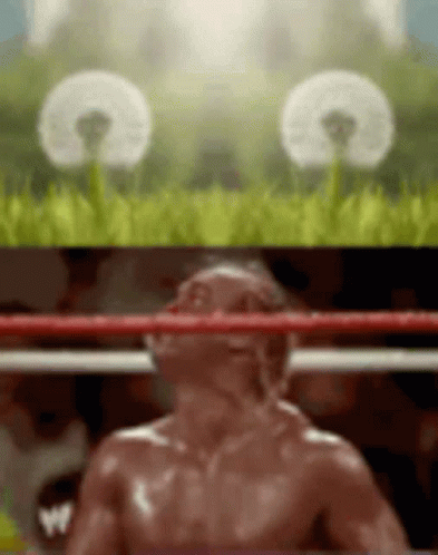 Hulk Hogan Blow GIF - Hulk Hogan Blow Dandelion GIFs