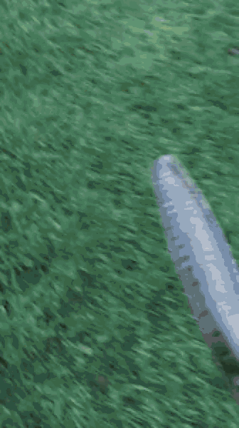 a white dog is running in the grass with chickens .