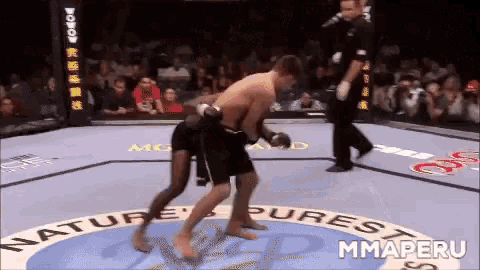 two men are fighting in a ring that says mmaperu on it