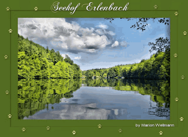 a picture of a lake with the words seehof erlenbach on the top